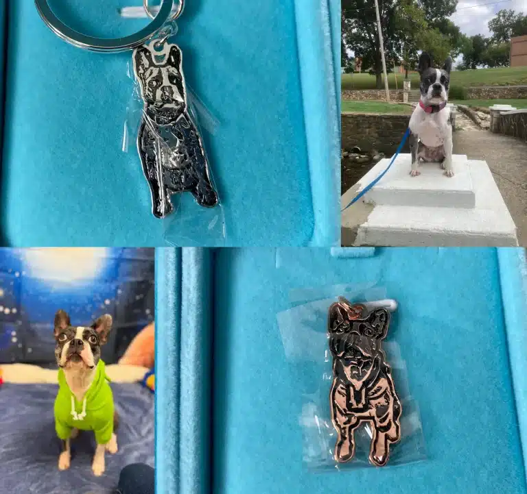 collage of pictures of the PupRing and Rigby the Frenchie that the PupRing was designed from 