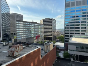 view of Nashville from The Nash in Nashville